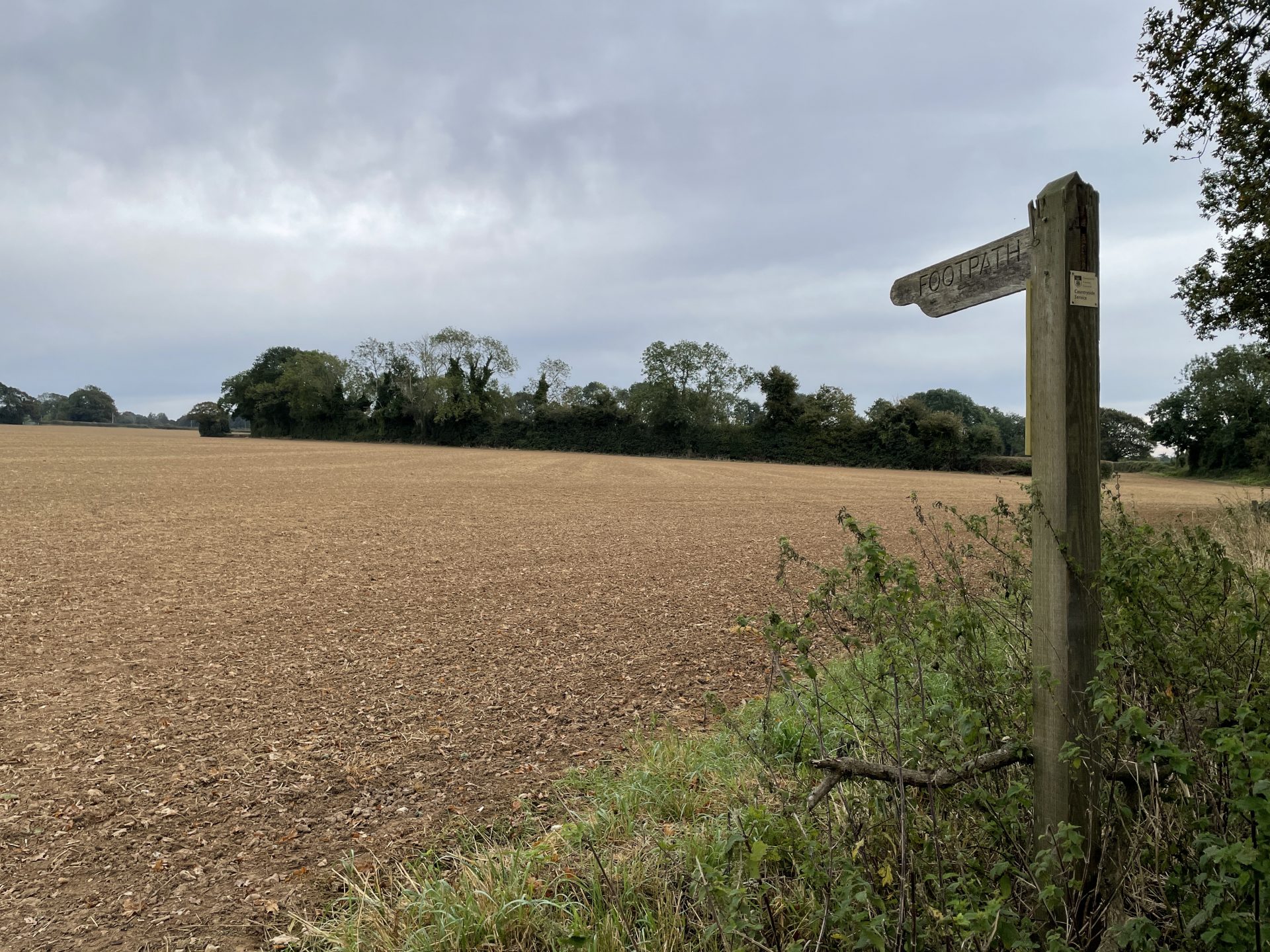 South Downs Authority welcomes government environmental targets