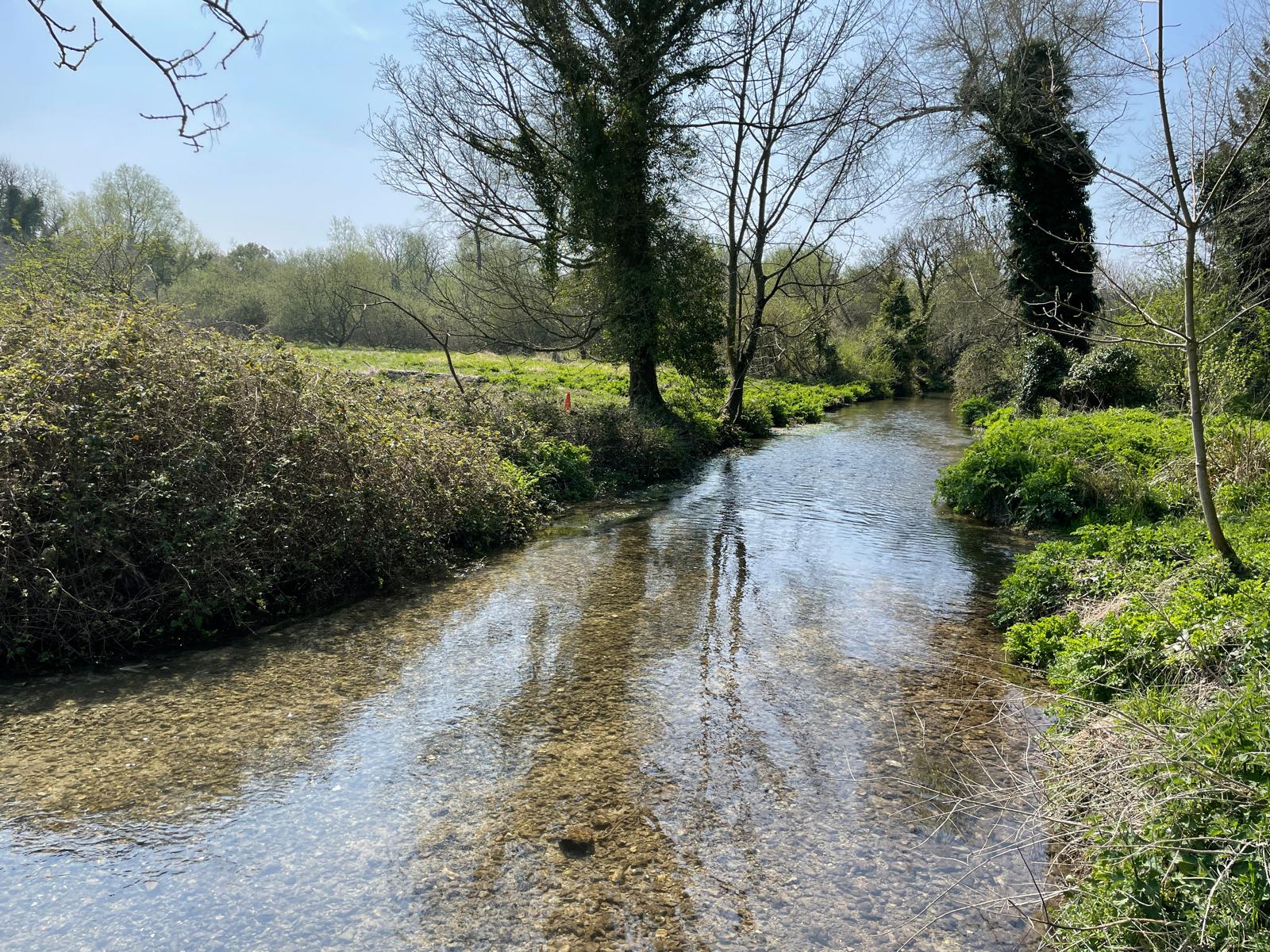 County council refuses to stop vehicles harming rare chalk stream by driving in river