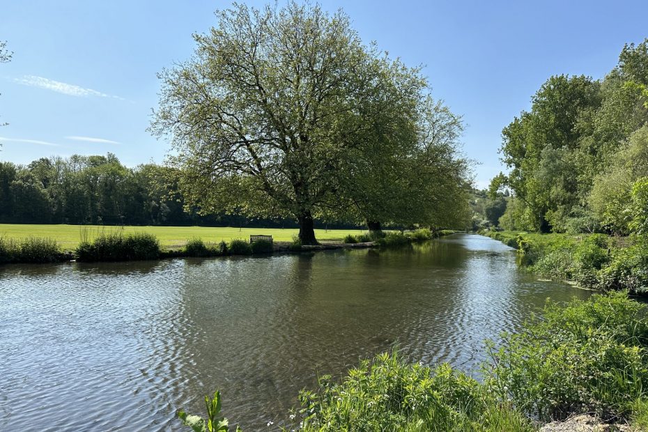 River Itchen Navigation (near Winchester)