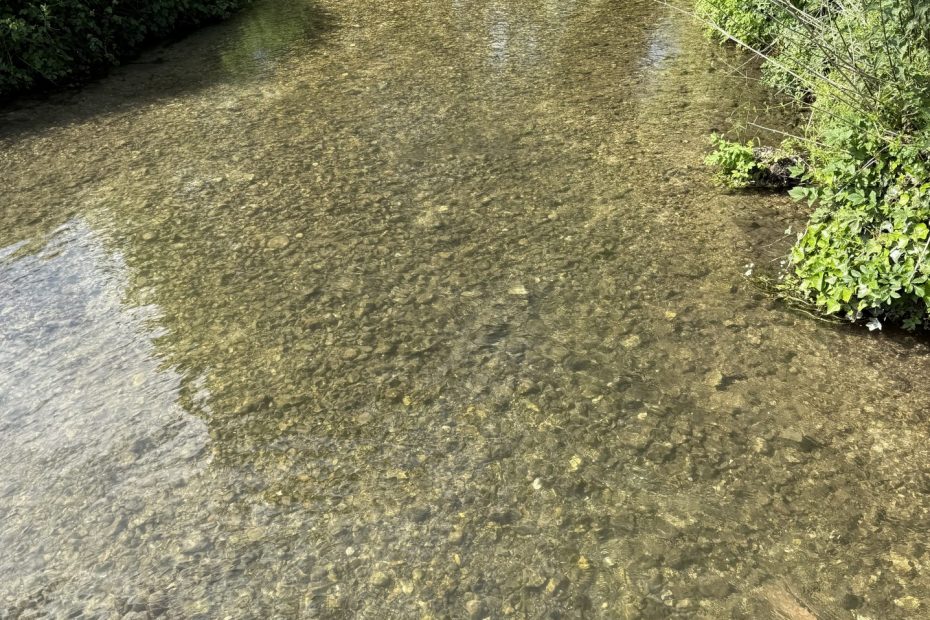river meon