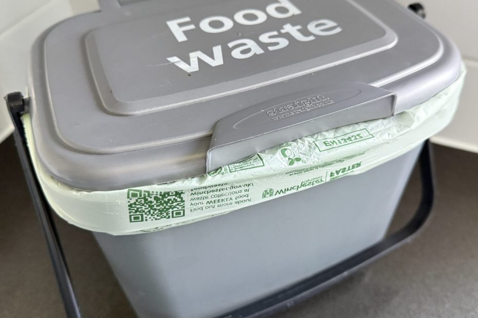 Food waste caddy